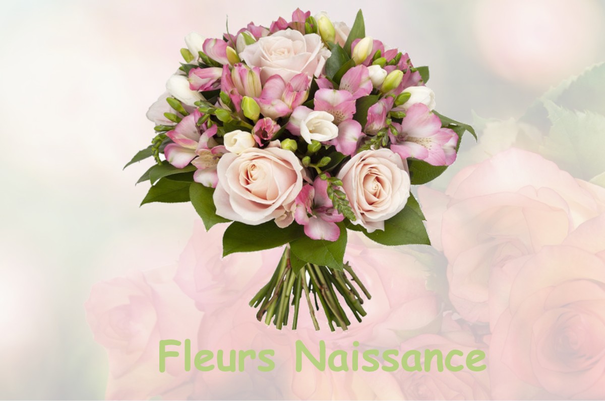 fleurs naissance CHARDOGNE