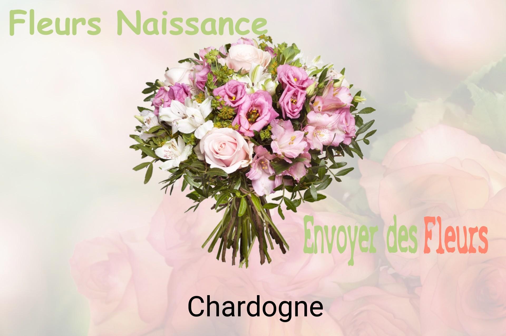 Bouquet de fleurs de naissance livré à Chardogne